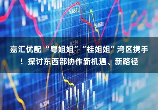 嘉汇优配 “粤姐姐”“桂姐姐”湾区携手！探讨东西部协作新机遇、新路径