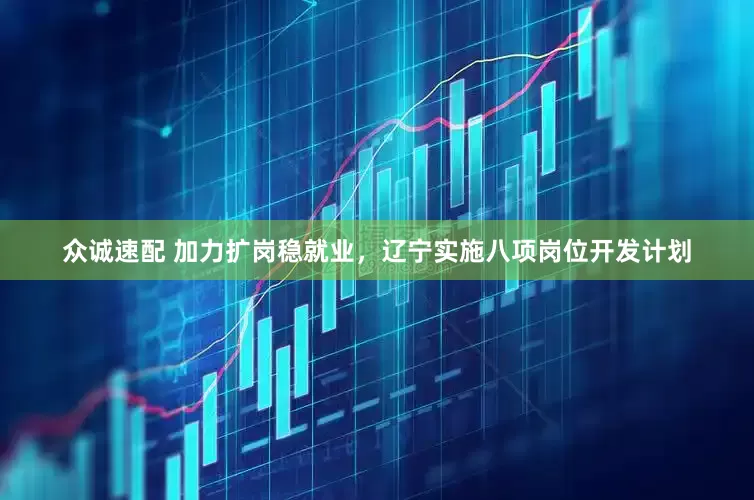 众诚速配 加力扩岗稳就业，辽宁实施八项岗位开发计划