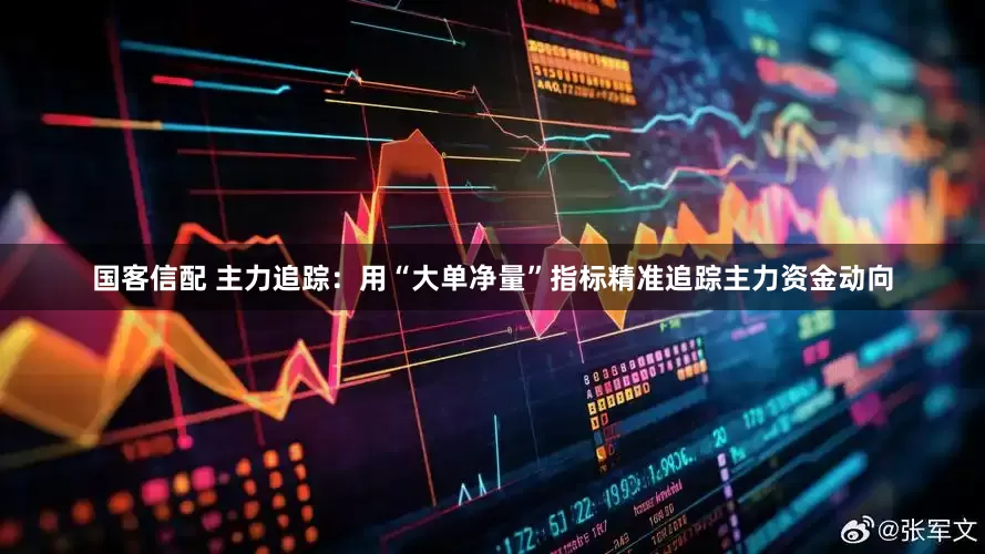 国客信配 主力追踪：用“大单净量”指标精准追踪主力资金动向