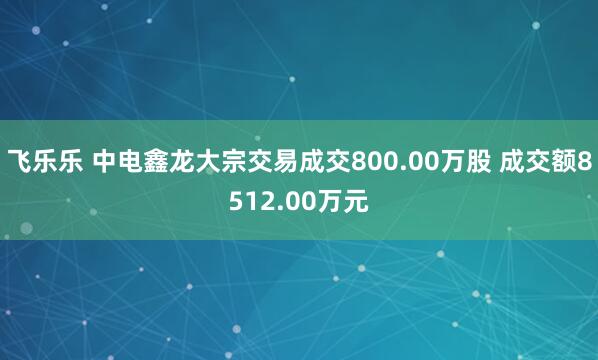 飞乐乐 中电鑫龙大宗交易成交800.00万股 成交额8512.00万元