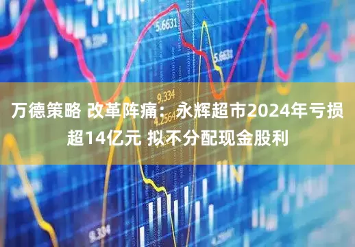 万德策略 改革阵痛：永辉超市2024年亏损超14亿元 拟不分配现金股利